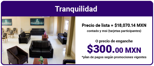 260226_MonteAlban_Inicio_Imagen_Tranquilidad